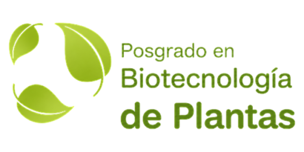 PLANTAS