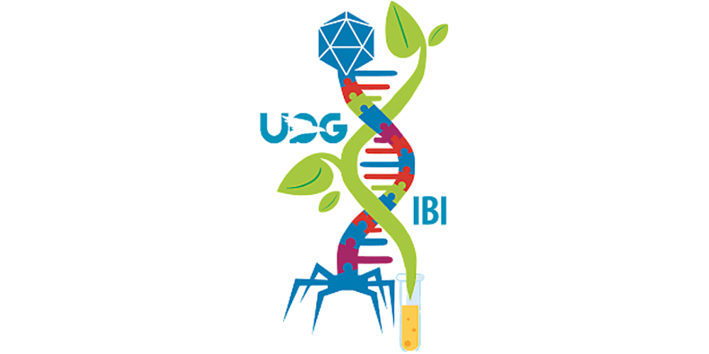 IBI